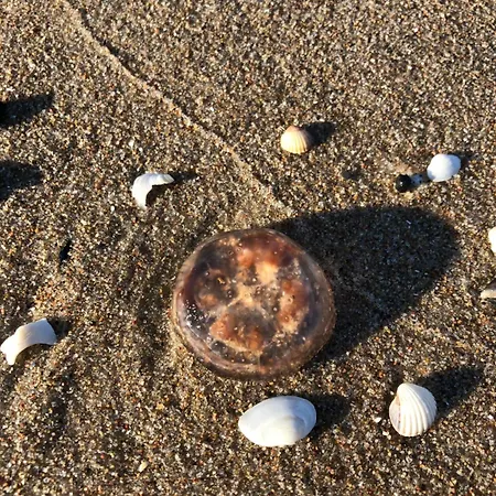 Seeblick 7 Baltyk Luxury מידזיזדרויה